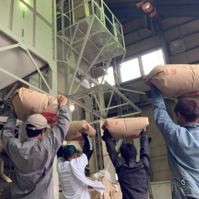 【1月下旬配送】令和7年産　新潟県 清里産コシヒカリ 10kg 上越市　白米　こめ　新潟 新潟県産 上越