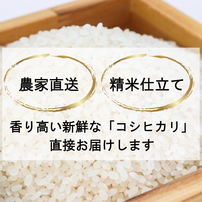 【1月下旬配送】令和7年産　新潟県 清里産コシヒカリ 10kg 上越市　白米　こめ　新潟 新潟県産 上越