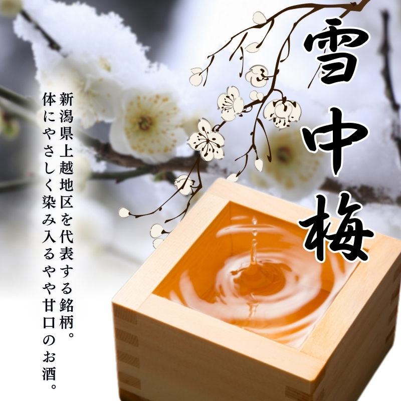酒 雪中梅 普通酒 720ml 2本 お酒 日本酒 アルコール ギフト 新潟 上越