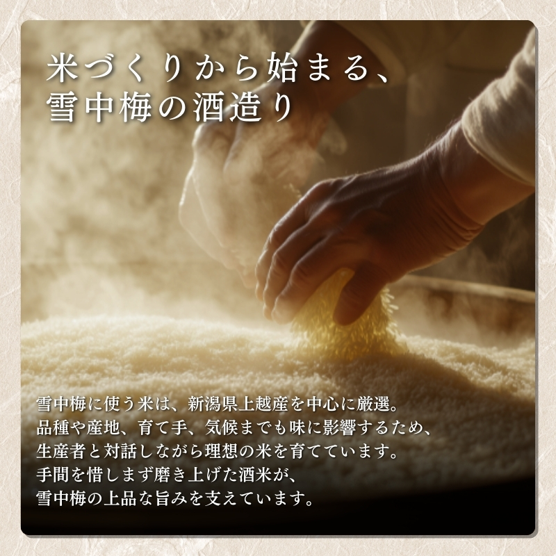 酒 雪中梅 普通酒 720ml 2本 お酒 日本酒 アルコール ギフト 新潟 上越