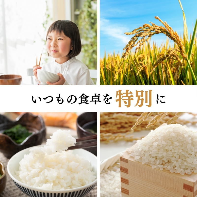 【3月上旬より配送】上越市産 新潟 コシヒカリ 5kg 6か月定期便 こしひかり お米 精米 米 ご飯 定期