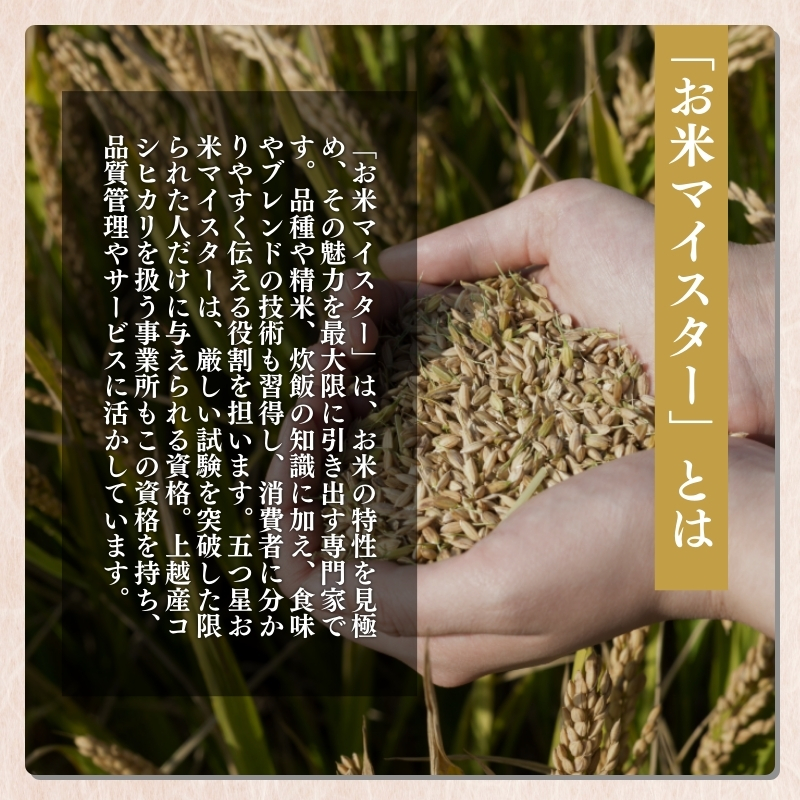 【3月上旬より配送】上越市産 新潟 コシヒカリ 5kg 6か月定期便 こしひかり お米 精米 米 ご飯 定期