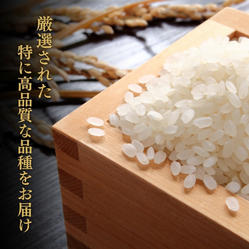 【3月中旬より配送】上越市産 新潟 コシヒカリ 5kg 3か月定期便 こしひかり お米 精米 米 ご飯 定期