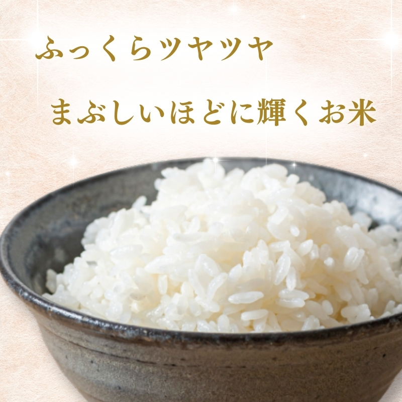 【3月中旬より配送】上越市産 新潟 新之助 5kg 3か月定期便 しんのすけ お米 精米 米 ご飯 定期