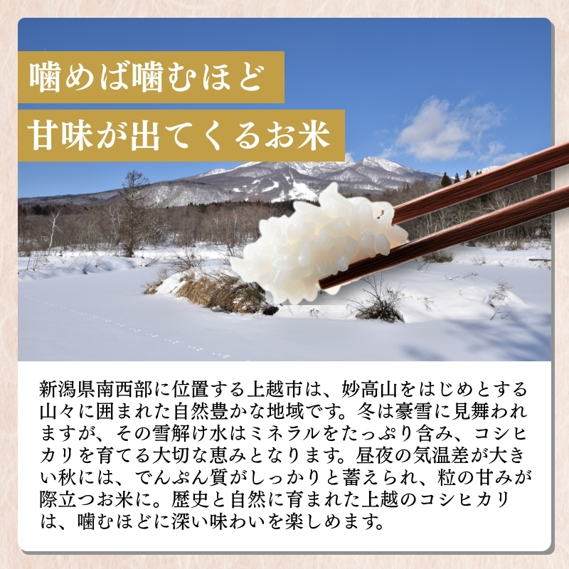 【3月下旬より配送】上越市産 新潟 コシヒカリ 5kg 3か月定期便 こしひかり お米 精米 米 ご飯 定期