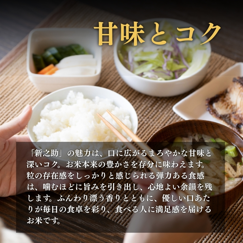 縲7譛井クュ譌ャ驟埼√台ク願カ雁クら肇 譁ー貎 譁ー荵句勧 2kg 縺励s縺ョ縺吶¢ 縺顔アウ 邊セ邀ウ 邀ウ 縺秘」ッ