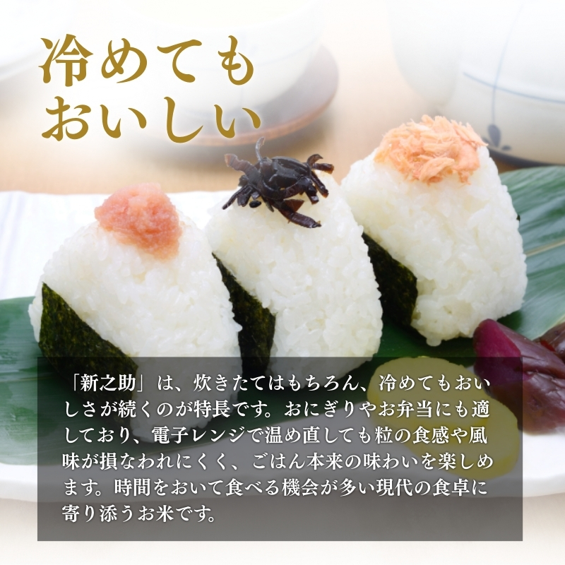 縲8譛井ク区流驟埼√台ク願カ雁クら肇 譁ー貎 譁ー荵句勧 2kg 縺励s縺ョ縺吶¢ 縺顔アウ 邊セ邀ウ 邀ウ 縺秘」ッ