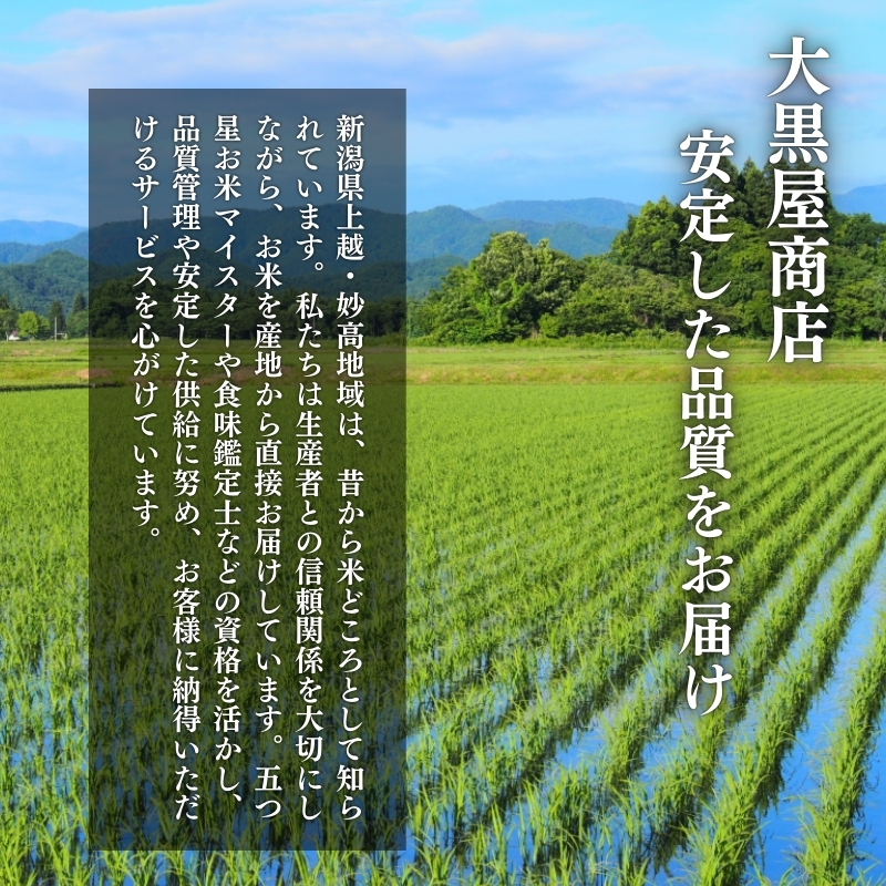 縲9譛井クュ譌ャ驟埼√台ク願カ雁クら肇 譁ー貎 譁ー荵句勧 2kg 縺励s縺ョ縺吶¢ 縺顔アウ 邊セ邀ウ 邀ウ 縺秘」ッ