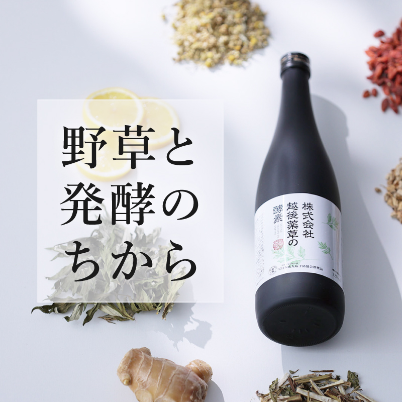 株式会社越後薬草の酵素 720ml 越後薬草 植物発酵飲料 野草酵素 ファスティング 置き換え 断食 健康 美容 ドリンク 瓶 国産 送料無料 新潟 新潟県産 にいがた 上越 上越産