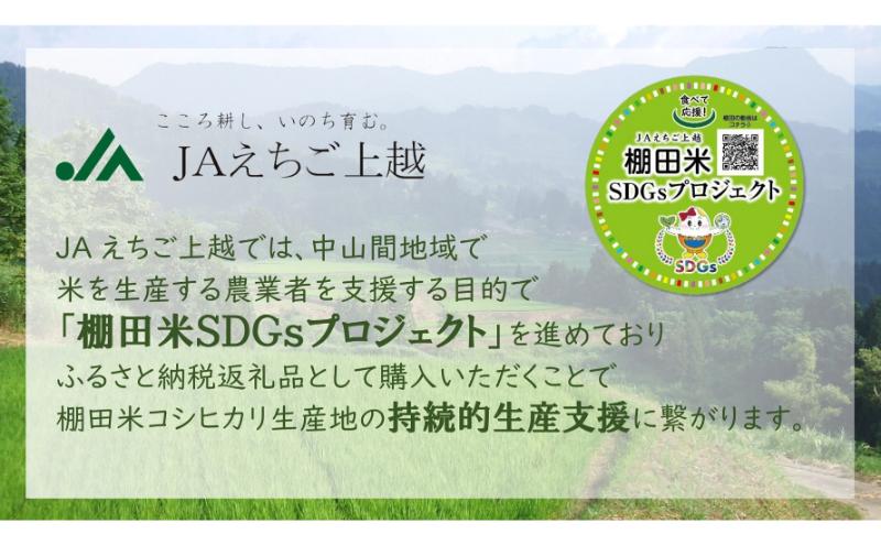 【7月下旬配送】令和7年産  えちご上越米 棚田米 コシヒカリ 10kg 10キロ 上越市 精米 米 コメ おすすめ