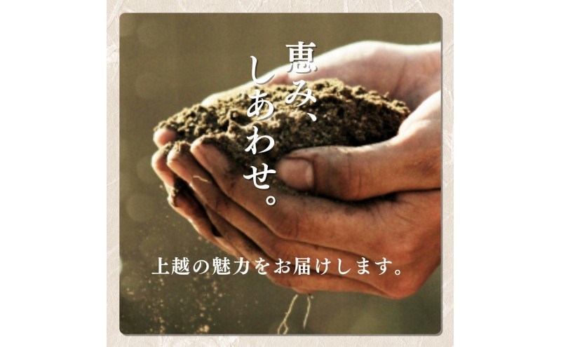 ã什å8幎11æé
éãå
è¡äºçŽ æ°ç±³ æ°æœäžè¶ç£ ã³ã·ãã«ãª 5kg æ°æœ ç±³ æ°æœç ããã²ãã éå®