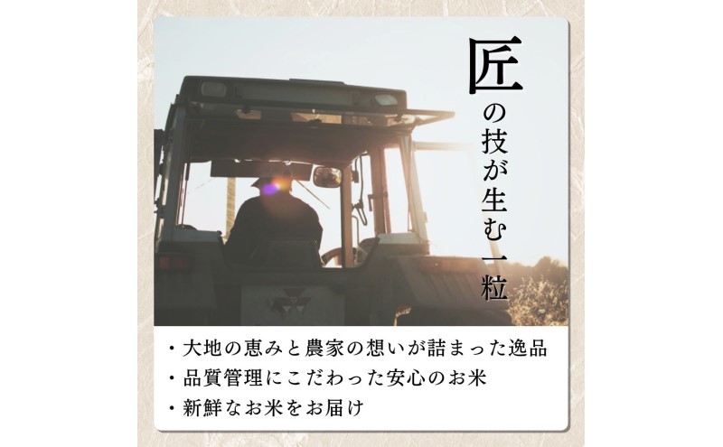 ã什å8幎12æé
éãå
è¡äºçŽ æ°ç±³ æ°æœäžè¶ç£ ã³ã·ãã«ãª 5kg æ°æœ ç±³ æ°æœç ããã²ãã éå®