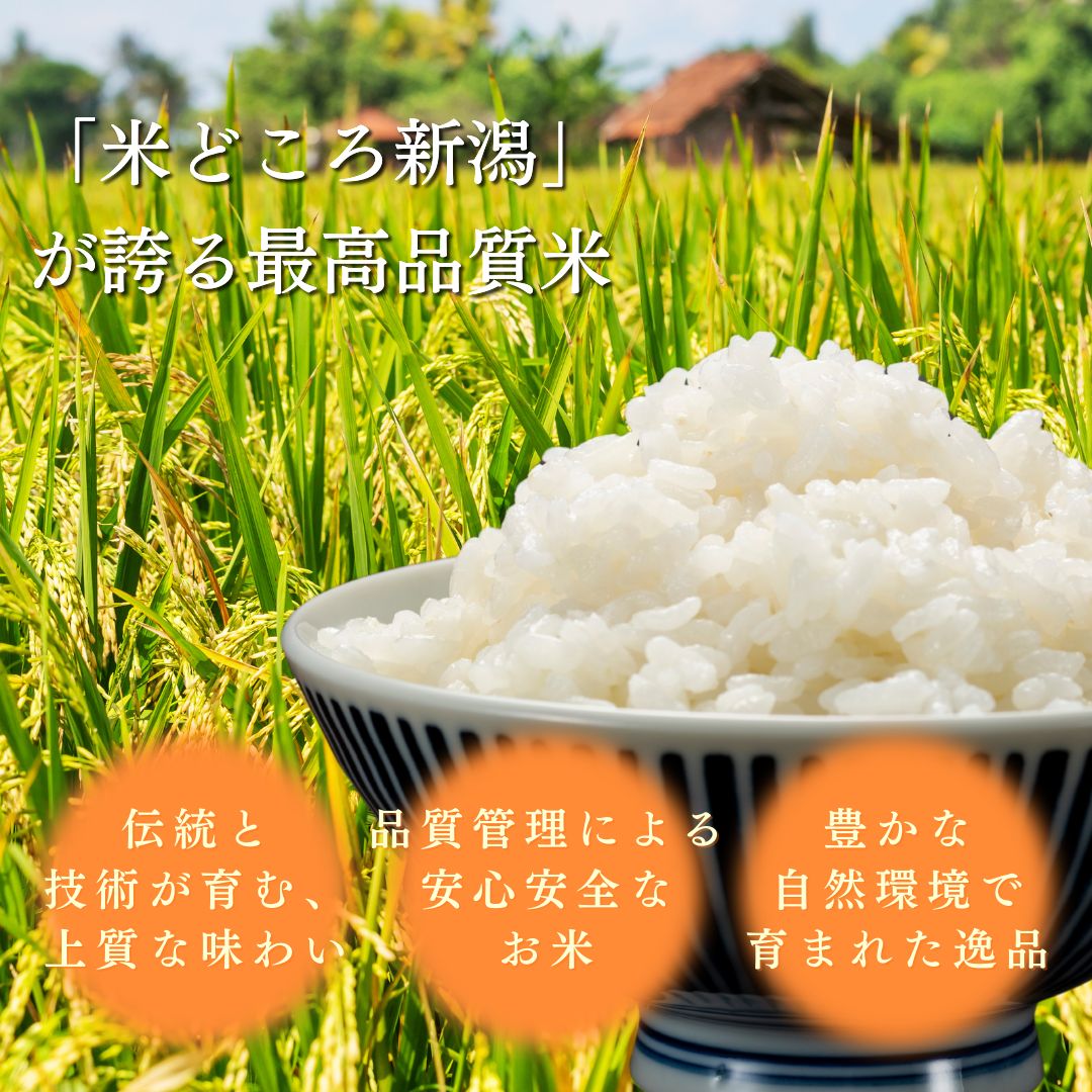 ãå
è¡äºçŽã什å8幎 æ°ç±³ æ°æœäžè¶ç£ã³ã·ãã«ãª å®æäŸ¿ ã6ã¶æé£ç¶ãå±ãã5kgÃ6å 30kg æ°æœ ç±³ æ°æœç ããã²ãã éå® ãããã