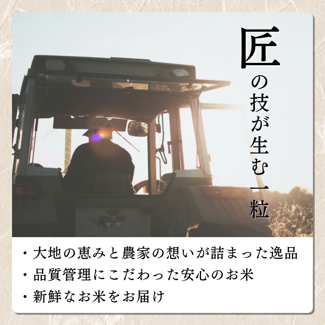 ãå
è¡äºçŽã什å8幎 æ°ç±³ æ°æœäžè¶ç£ã³ã·ãã«ãª å®æäŸ¿ ã6ã¶æé£ç¶ãå±ãã5kgÃ6å 30kg æ°æœ ç±³ æ°æœç ããã²ãã éå® ãããã