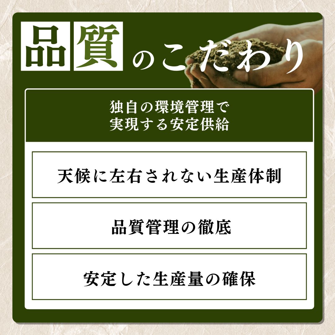 ãå
è¡äºçŽã什å8幎 æ°ç±³ æ°æœäžè¶ç£ã³ã·ãã«ãª å®æäŸ¿ ã6ã¶æé£ç¶ãå±ãã5kgÃ6å 30kg æ°æœ ç±³ æ°æœç ããã²ãã éå® ãããã