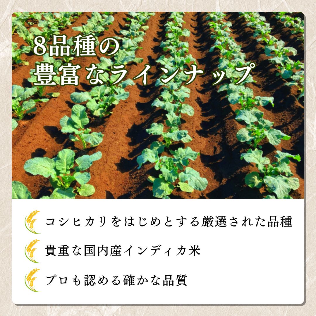 ãå
è¡äºçŽã什å8幎 æ°ç±³ æ°æœäžè¶ç£ã³ã·ãã«ãª å®æäŸ¿ ã6ã¶æé£ç¶ãå±ãã5kgÃ6å 30kg æ°æœ ç±³ æ°æœç ããã²ãã éå® ãããã