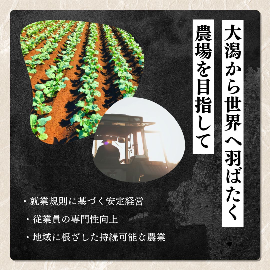 ãå
è¡äºçŽã什å8幎 æ°ç±³ æ°æœäžè¶ç£ã³ã·ãã«ãª å®æäŸ¿ ã6ã¶æé£ç¶ãå±ãã5kgÃ6å 30kg æ°æœ ç±³ æ°æœç ããã²ãã éå® ãããã