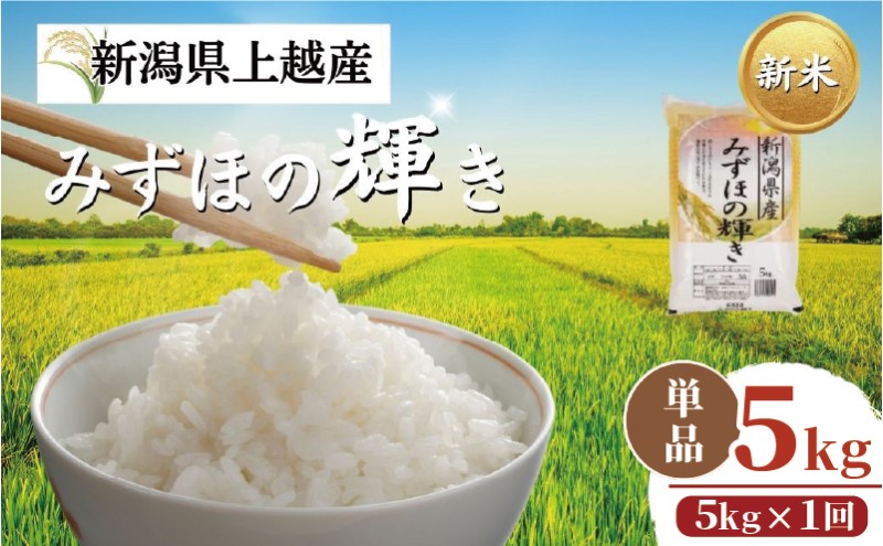 【令和8年11月配送】【プロも高評価！】令和8年産 新潟県上越市産 みずほの輝き 5kg 新米 先行予約 大潟ナショナルカントリー