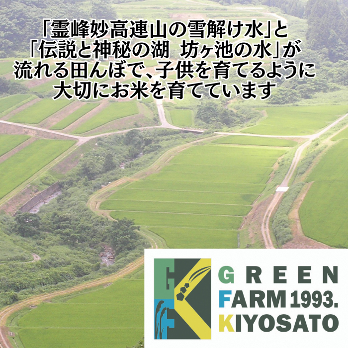 【1月下旬配送】令和7年産　新潟県 清里産コシヒカリ 10kg 上越市　白米　こめ　新潟 新潟県産 上越