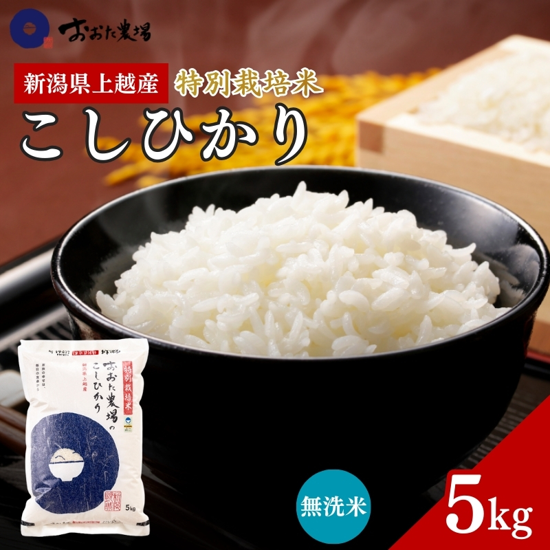米 【令和7年産】 新潟県上越産 特別栽培米 コシヒカリ 【無洗米】 5kg 5キロ お米 こめ 白米 こしひかり