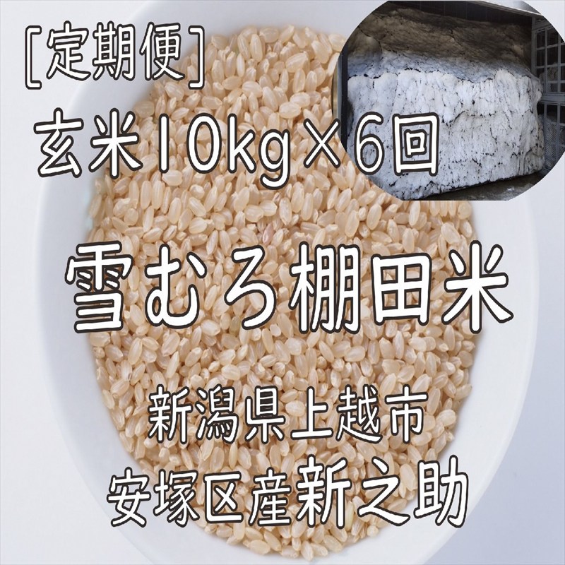 令和7年 新潟県産 棚田米 新之助 玄米 定期便 60kg 60キロ (10kg×6回) 雪中貯蔵 雪むろ しんのすけ お米 こめ 新潟 上越 米 送料無料