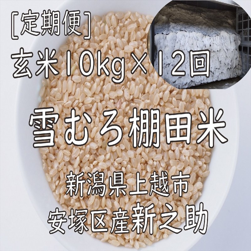 令和7年 新潟県産 棚田米 新之助 玄米 定期便 120kg 120キロ (10kg×12回) 雪中貯蔵 雪むろ しんのすけ お米 こめ 新潟 上越 米 送料無料