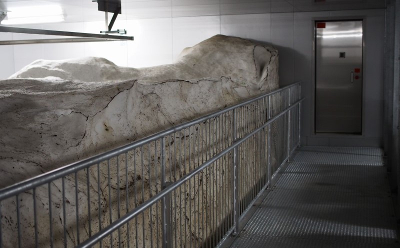 什å7幎 æ°æœçç£ æ£ç°ç±³ æ°ä¹å© çç±³ å®æäŸ¿ 120kg 120ãã (10kgÃ12å) éªäžè²¯èµ éªãã ããã®ãã ãç±³ ãã æ°æœ äžè¶ ç±³ éæç¡æ