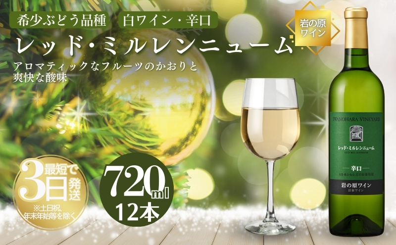 ワイン 岩の原ワイン レッド・ミルレンニューム 12本 720ml 希少ぶどう品種 辛口 お酒 希少 ぶどう 岩の原 新潟 上越 最短3日で発送 お届け：7日以内にお届けします。