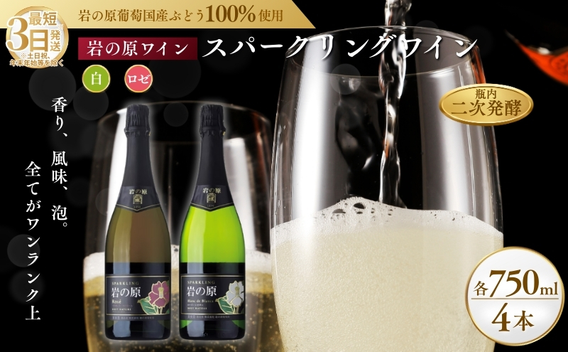 ワイン 岩の原スパークリングワイン 白 ロゼ 瓶内二次発酵 4本セット （白×2本、ロゼ×2本 各750ml） お酒 岩の原 酒 新潟 上越 最短3日で発送