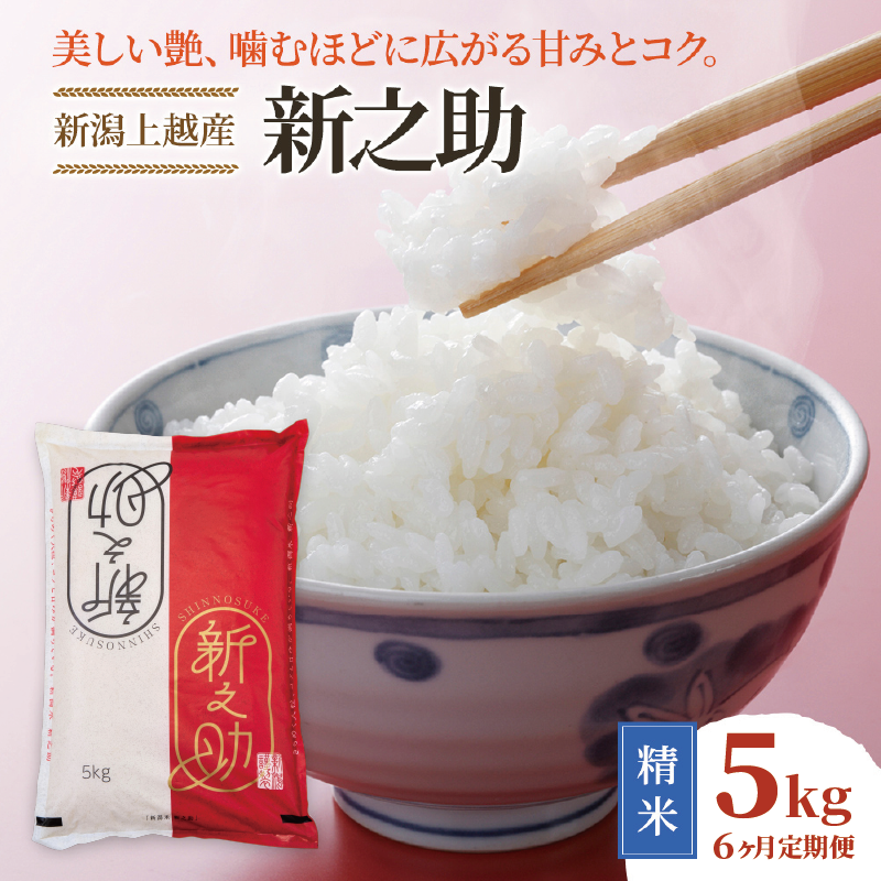 令和8年産 先行予約 新潟上越産 新之助 【6ヶ月連続お届け】 5kg×6回 30kg 30キロ しんのすけ シンノスケ 米 お米 こめ おすすめ 人気 ふるさと納税 新潟 新潟県産 にいがた 上越 上越産 定期便 送料無料