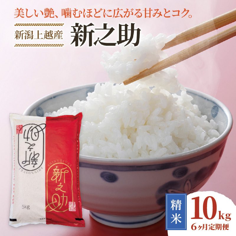 令和8年産 先行予約 新潟上越産 新之助 【6ヶ月連続お届け】 10kg×6回 60kg 60キロ しんのすけ シンノスケ 米 お米 こめ おすすめ 人気 ふるさと納税 新潟 新潟県産 にいがた 上越 上越産 定期便 送料無料
