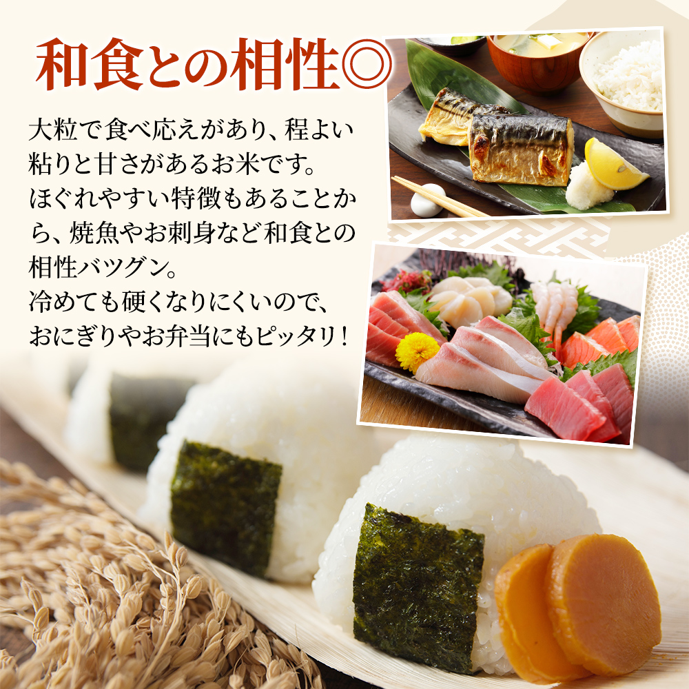 令和8年産 先行予約 新潟上越産 新之助 5kg 5キロ しんのすけ シンノスケ 米 お米 こめ おすすめ 人気 ふるさと納税 新潟 新潟県産 にいがた 上越 上越産 定期便 送料無料