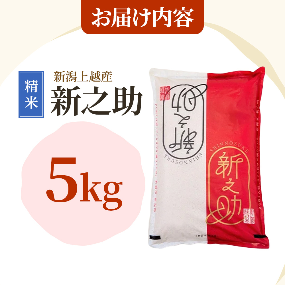 令和8年産 先行予約 新潟上越産 新之助 5kg 5キロ しんのすけ シンノスケ 米 お米 こめ おすすめ 人気 ふるさと納税 新潟 新潟県産 にいがた 上越 上越産 定期便 送料無料