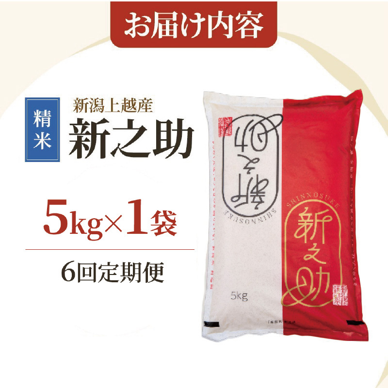 令和8年産 先行予約 新潟上越産 新之助 【6ヶ月連続お届け】 5kg×6回 30kg 30キロ しんのすけ シンノスケ 米 お米 こめ おすすめ 人気 ふるさと納税 新潟 新潟県産 にいがた 上越 上越産 定期便 送料無料