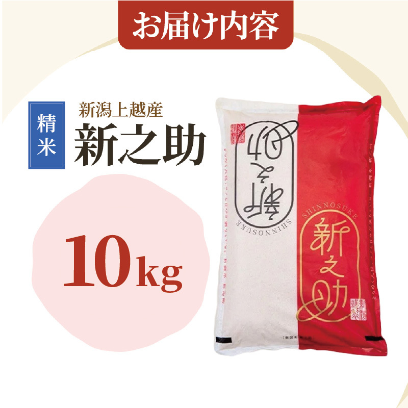令和8年産 先行予約 新潟上越産 新之助 10kg 10キロ しんのすけ シンノスケ 米 お米 こめ おすすめ 人気 ふるさと納税 新潟 新潟県産 にいがた 上越 上越産 定期便 送料無料