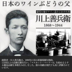 ã¯ã€ã³ 岩ã®åã¹ããŒã¯ãªã³ã°ã¯ã€ã³ çœ ã㌠ç¶å
äºæ¬¡çºé
µ 4æ¬ã»ãã ïŒçœÃ2æ¬ãããŒÃ2æ¬ å750mlïŒ ãé
岩ã®å é
æ°æœ äžè¶ æç3æ¥ã§çºé