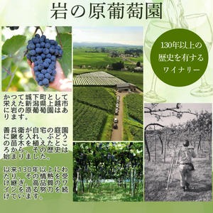 ã¯ã€ã³ 岩ã®åã¹ããŒã¯ãªã³ã°ã¯ã€ã³ çœ ã㌠ç¶å
äºæ¬¡çºé
µ 4æ¬ã»ãã ïŒçœÃ2æ¬ãããŒÃ2æ¬ å750mlïŒ ãé
岩ã®å é
æ°æœ äžè¶ æç3æ¥ã§çºé