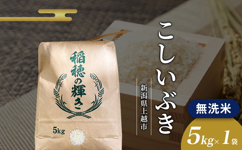 2026年2月から出荷開始 | 無洗米 令和7年 新潟県上越市産 こしいぶき 5kg 5キロ お米 コメ おこめ 新潟