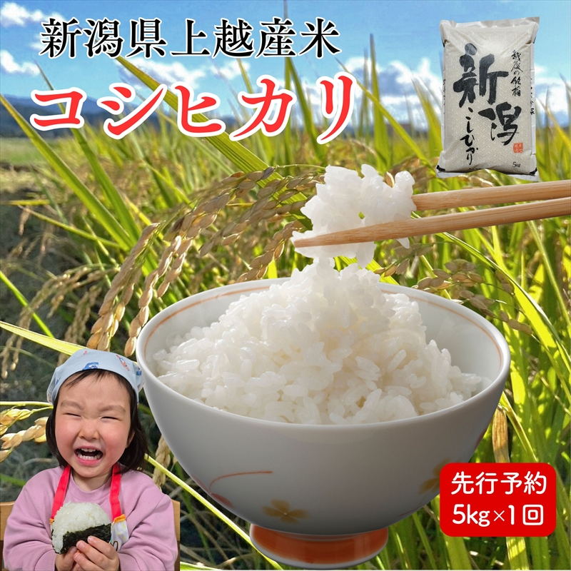 令和8年産　先行予約　上越市産コシヒカリ　5kg　新米　精米　新潟　米　こしひかり　新潟県　上越市　　限定　おすすめ　米ヴィレッジさんわ