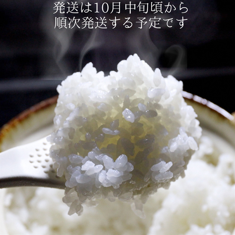 令和8年産　先行予約　上越市産こしいぶき　5kg　新米　精米　新潟　米　新潟県　こしいぶき　限定　おすすめ　米ヴィレッジさんわ