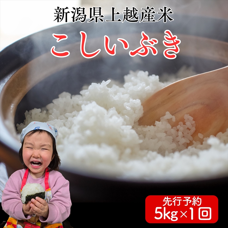 令和8年産　先行予約　上越市産こしいぶき　5kg　新米　精米　新潟　米　新潟県　こしいぶき　限定　おすすめ　米ヴィレッジさんわ