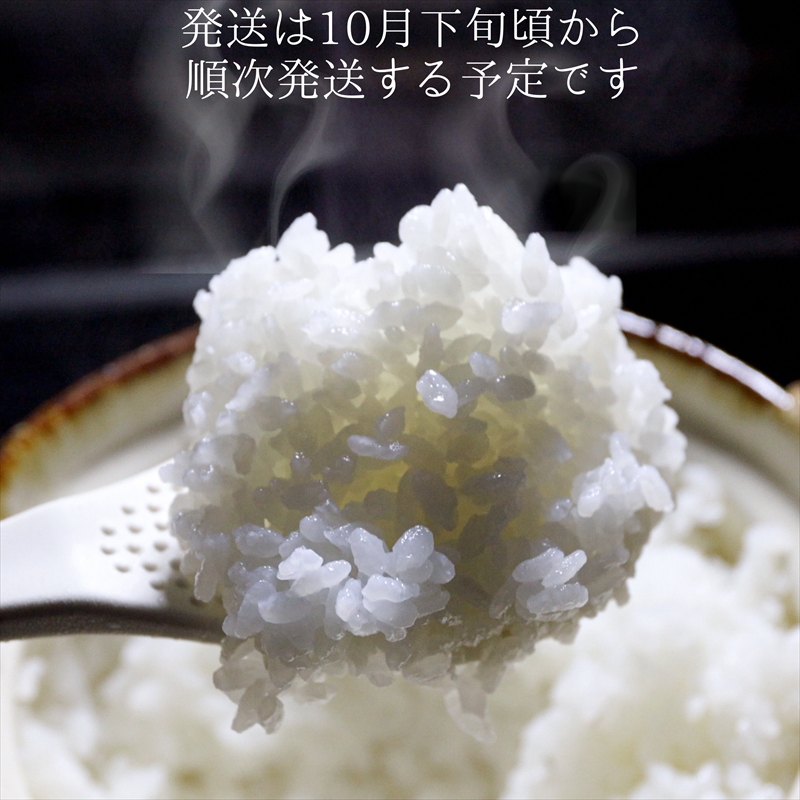 令和8年産　先行予約　上越市産みずほの輝き　5kg　新米　精米　新潟　米　新潟県　みずほの輝き　限定　おすすめ　米ヴィレッジさんわ