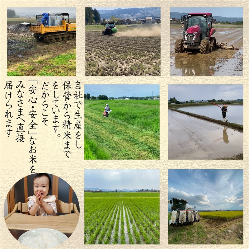 令和8年産　先行予約　上越市産新之助　5kg　新米　精米　新潟　米　新潟県　新之助　限定　おすすめ　米ヴィレッジさんわ