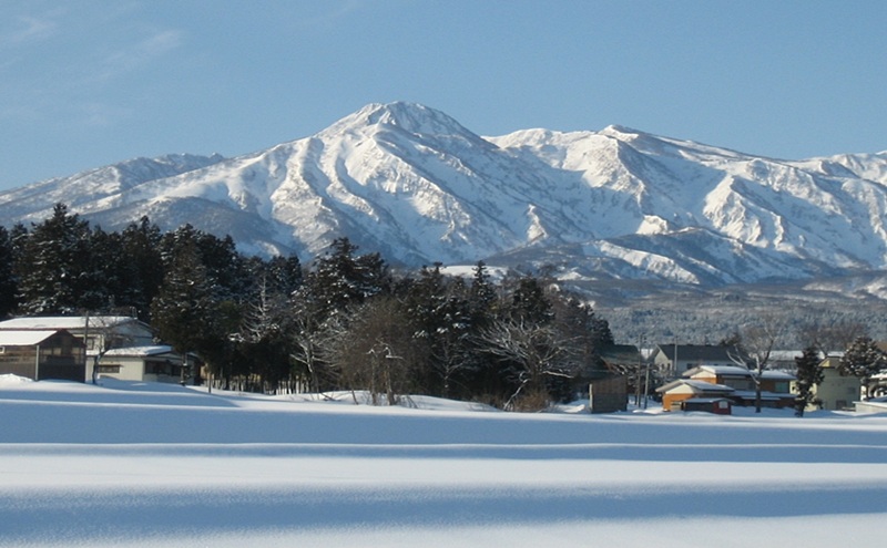 標高200mで育てた棚田米|令和7年・新潟県上越産・ゆうだい21精米5kg　白米  お米 こめ おすすめ ふるさと納税 新潟 新潟県産 にいがた 上越 上越産