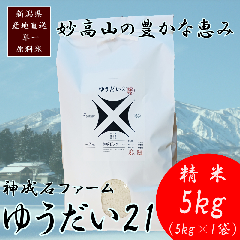 標高200mで育てた棚田米|令和7年・新潟県上越産・ゆうだい21精米5kg　白米  お米 こめ おすすめ ふるさと納税 新潟 新潟県産 にいがた 上越 上越産