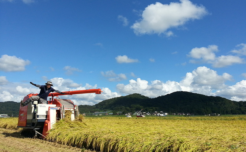 新潟県特別栽培農作物 玄米 新潟県上越市産 横山農園 コシヒカリ 令和7年産 5kg（5kg×1袋）こしひかり お米 ご飯 送料無料
