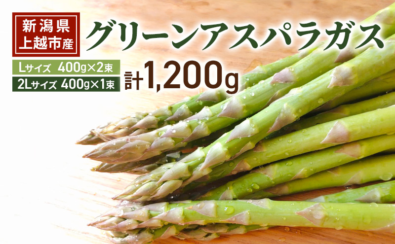 新潟県上越市産 横山農園 グリーン アスパラガス Lサイズ400g×2束 ｜2Lサイズ 400g×1束 計1,200g