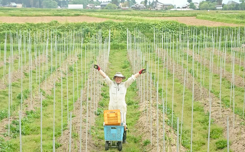 新潟県上越市産 横山農園 グリーン アスパラガス Lサイズ400g×2束 ｜2Lサイズ 400g×1束 計1,200g