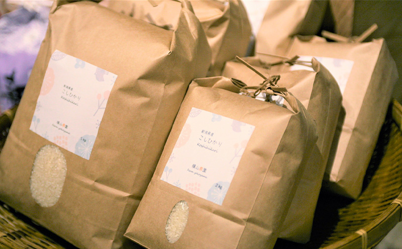 米 新潟県上越市産 横山農園 コシヒカリ 令和7年産 2kg（2kg×1袋）こしひかり お米 精米 米 ご飯 送料無料