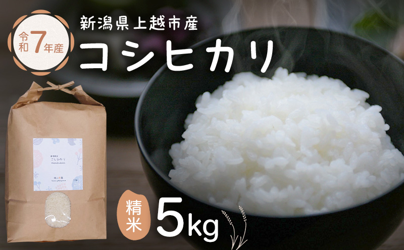 米 新潟県上越市産 横山農園 コシヒカリ 令和7年産 5kg（5kg×1袋）こしひかり お米 精米 米 ご飯 送料無料